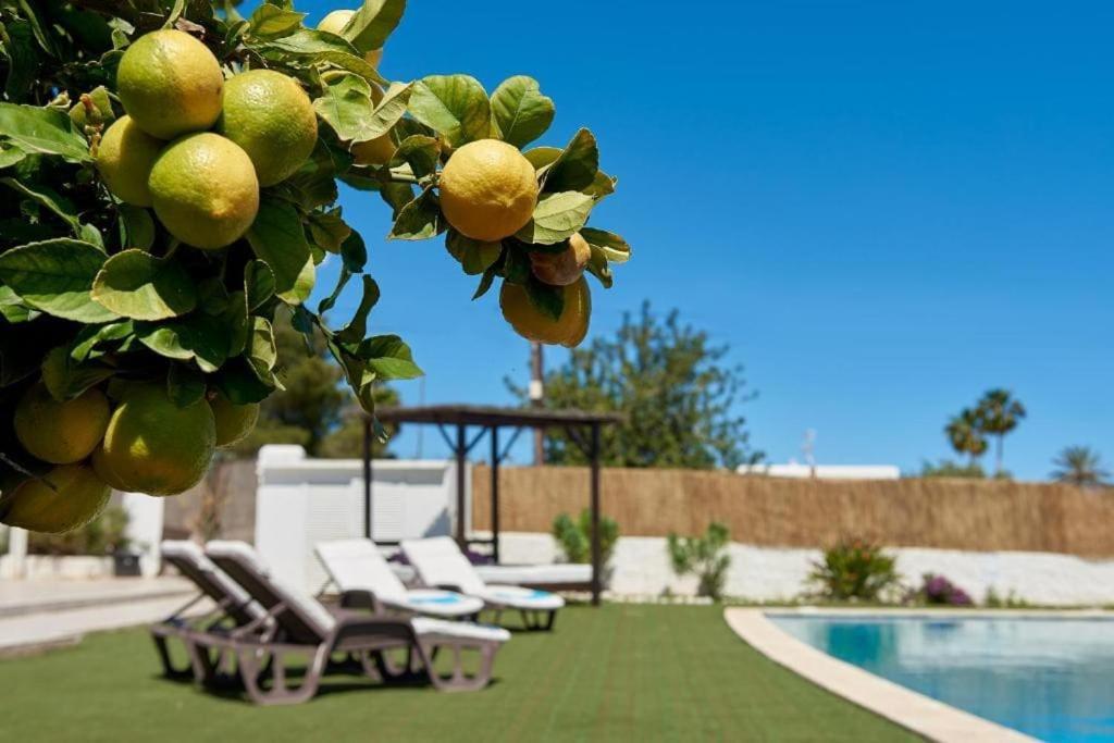 The Lovely Villa Ibiza Экстерьер фото